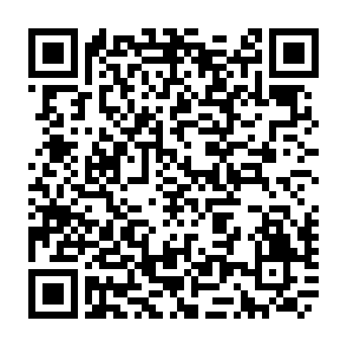 UPI QR code to sponsor Bihar